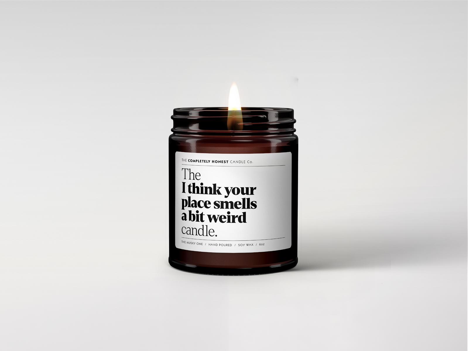 The I Think Your Place Smells a bit weird Candle