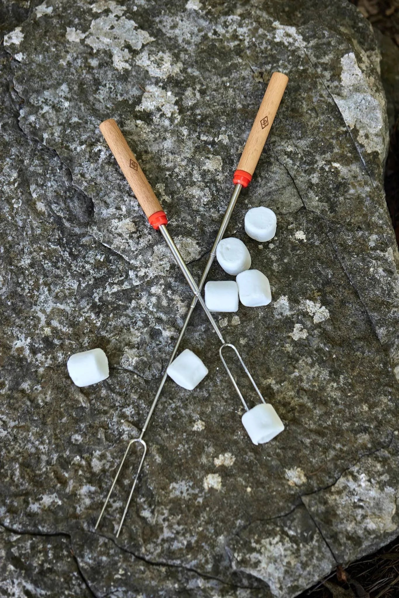 Extendable Campfire Roasting Forks